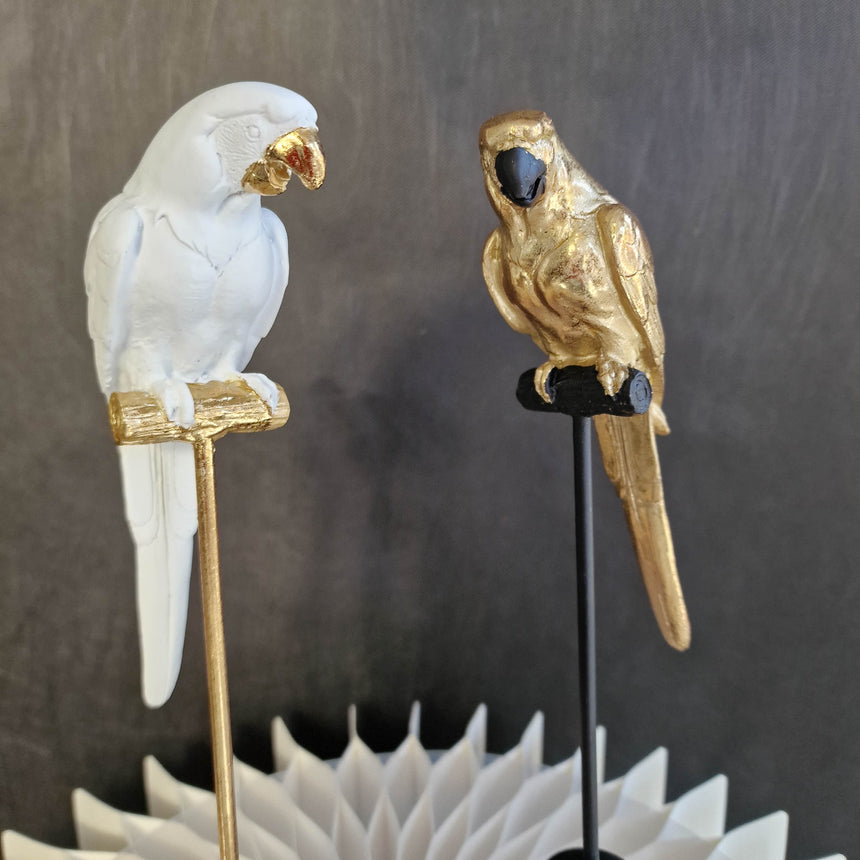 Dekoracija papūga - Bianco 26cm
