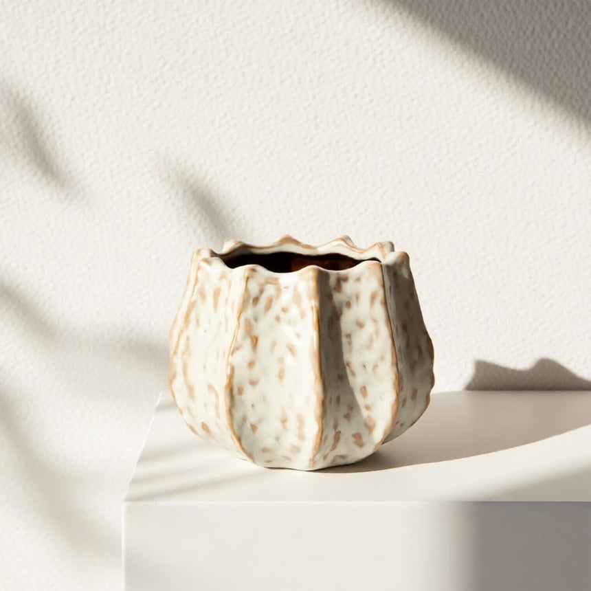 sodoela Vazonai Vazonas „Ivory“ 25,5x15 cm