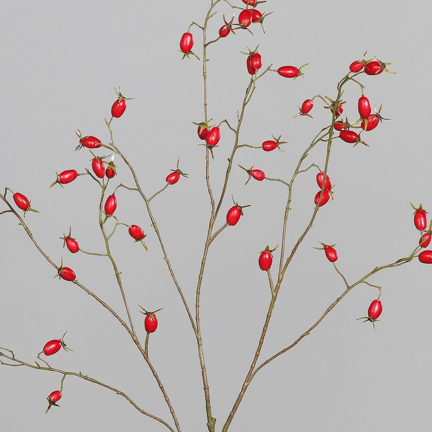Dirbtinė šaka „Rosa Canina“ I106 cm