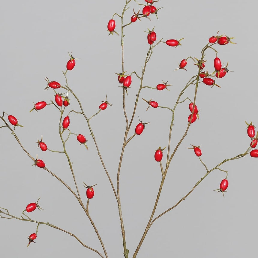 sodoela Dirbtinės gėlės ir šakos Dirbtinė šaka „Rosa Canina“ I106 cm
