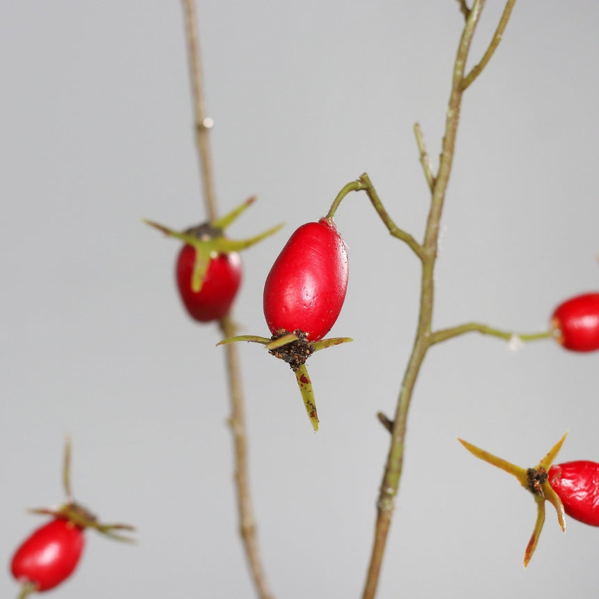 Dirbtinė šaka „Rosa Canina“ I106 cm