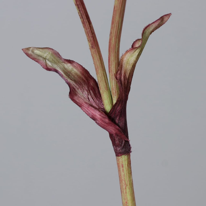sodoela Dirbtinės gėlės ir šakos Dirbtinė šaka „Angelica“ I133 cm
