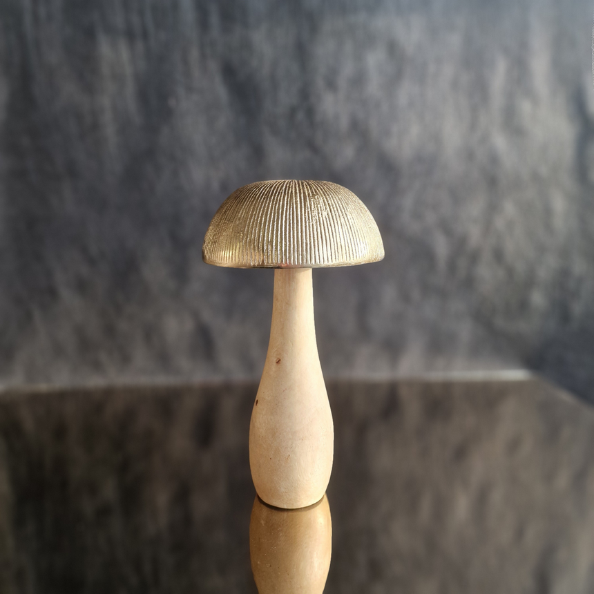 Auksinis grybas mediniu kotu 27x17x17 cm