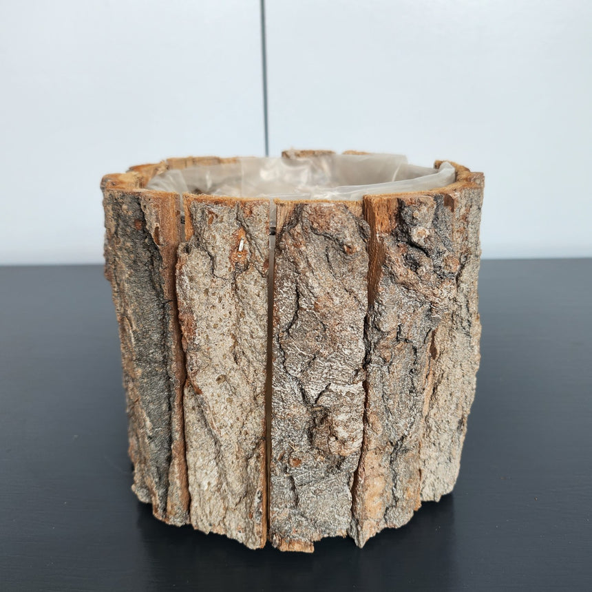 Indas su žieve kelmas rudas 10x10 cm
