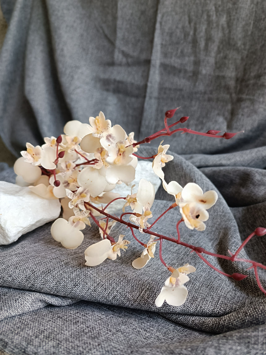 Smulkių orchidėjų šaka-kreminės spalvos