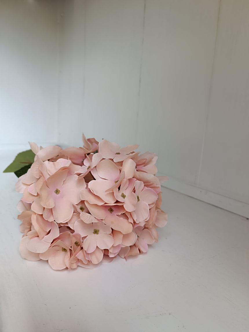 Dirbt. Hortenzija rudai-ruzava 78cm