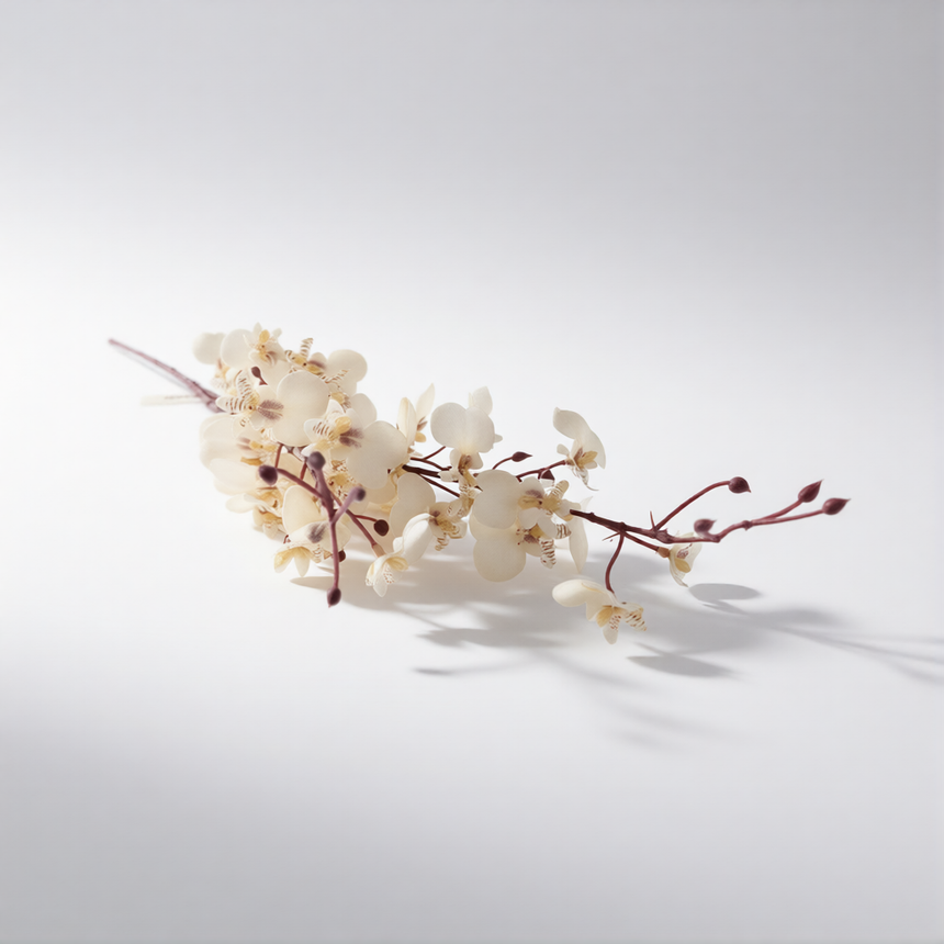 Smulkių orchidėjų šaka-kreminės spalvos