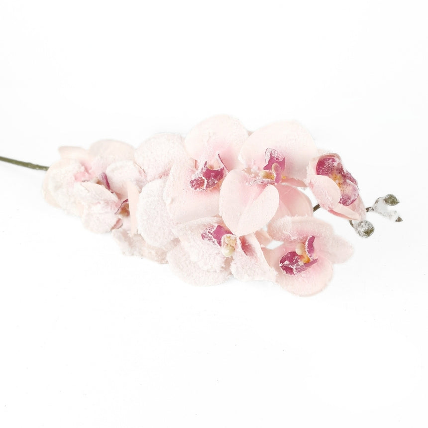 Orchidėjos šaka-rausva šerkšnota | dirbtinė