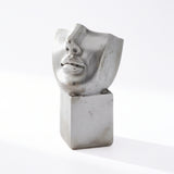 Sidabro spalvos vazonas Veidas 13x13x21,5 cm
