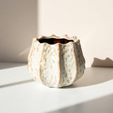 Keramikinis vazonas IVORY 25,5x15 cm