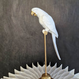 Dekoracija papūga - Bianco 26cm