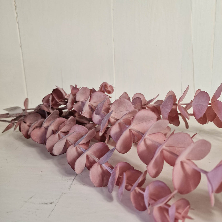 Dirbtinis eukaliptas Rosea