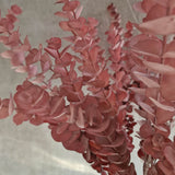 Dirbtinis eukaliptas Rosea
