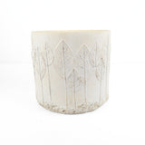Vazonas Baltoji giria 18,5x18,5x16,5 cm