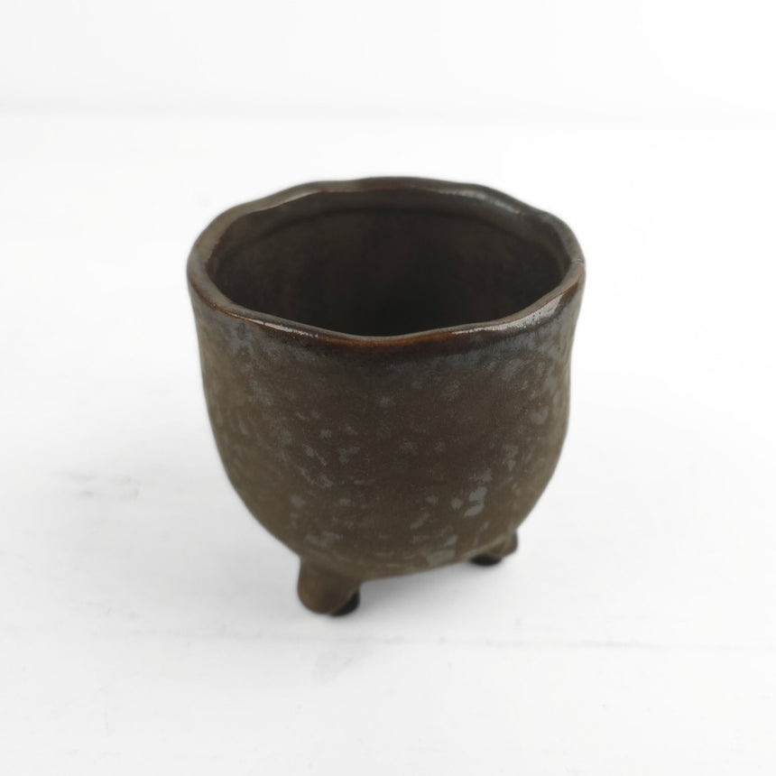 Dekoratyvinis keraminis vazonas Stelo 8x8x8 cm
