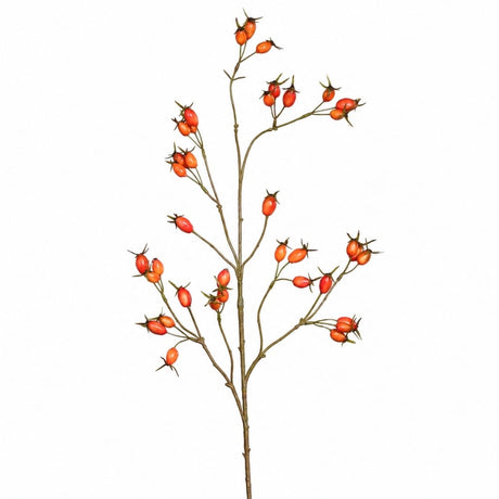 sodoela Dirbtinės gėlės ir šakos Dirbtinė šaka „Rosa Canina“ I95 cm