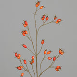 Dirbtinė šaka „Rosa Canina“ I95 cm