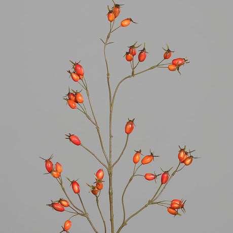 sodoela Dirbtinės gėlės ir šakos Dirbtinė šaka „Rosa Canina“ I95 cm