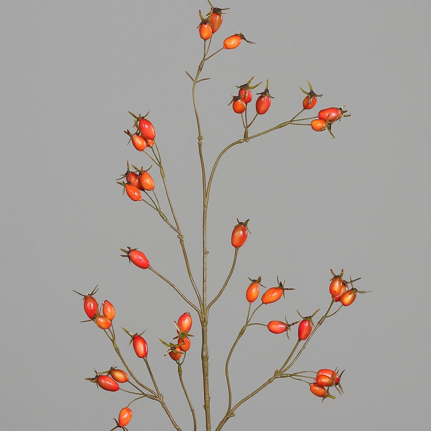 Dirbtinė šaka „Rosa Canina“ I95 cm
