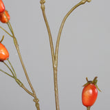 Dirbtinė šaka „Rosa Canina“ I95 cm