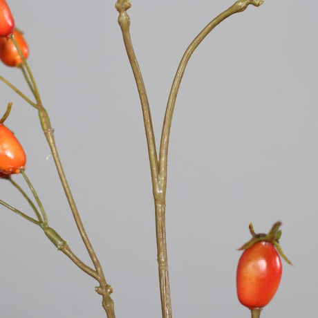 sodoela Dirbtinės gėlės ir šakos Dirbtinė šaka „Rosa Canina“ I95 cm