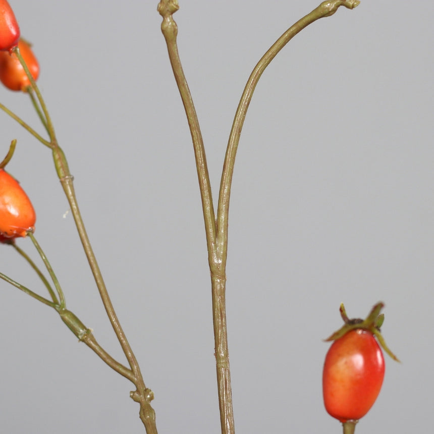 Dirbtinė šaka „Rosa Canina“ I95 cm