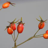 Dirbtinė šaka „Rosa Canina“ I95 cm