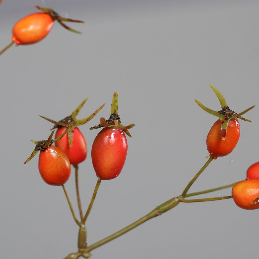 Dirbtinė šaka „Rosa Canina“ I95 cm