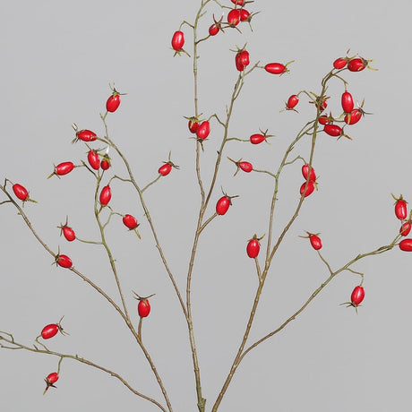 sodoela Dirbtinės gėlės ir šakos Dirbtinė šaka „Rosa Canina“ I106 cm