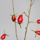 Dirbtinė šaka „Rosa Canina“ I106 cm