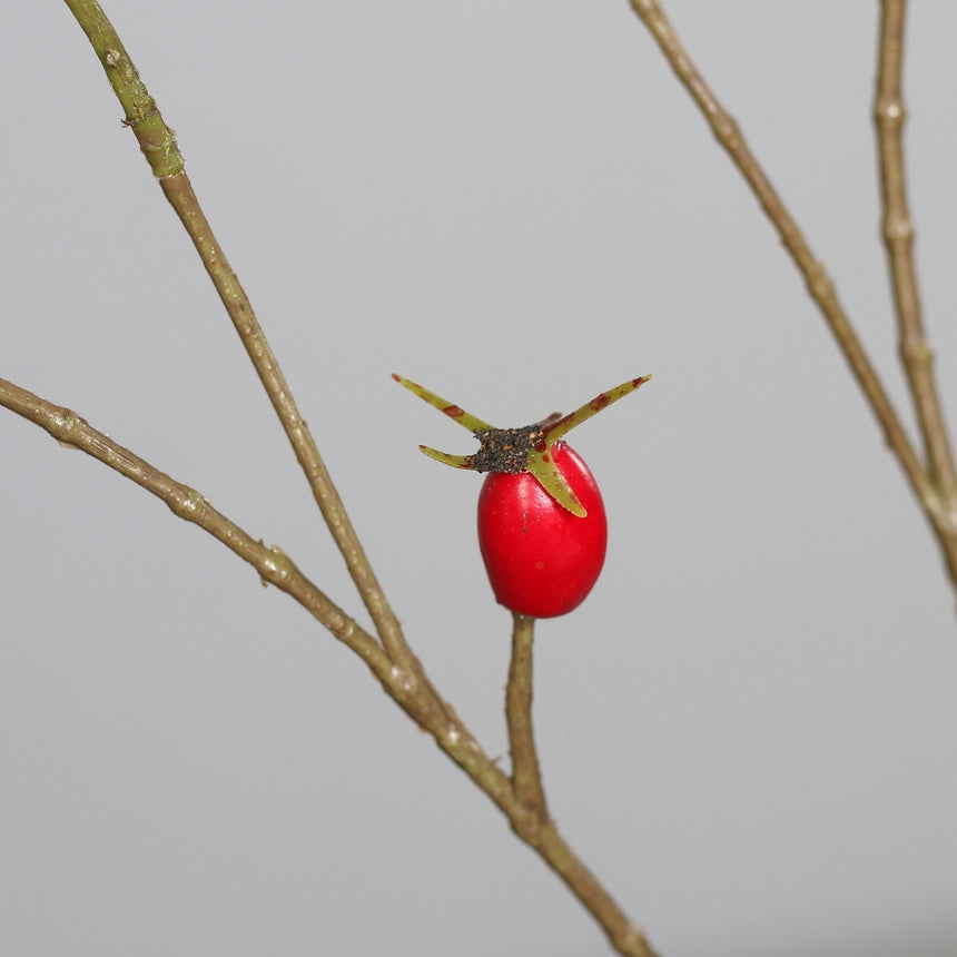Dirbtinė šaka „Rosa Canina“ I106 cm