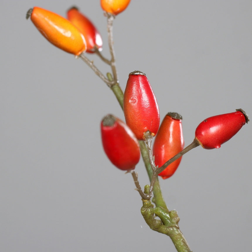 Dirbtinė šaka „Rosa Canina“ I147 cm