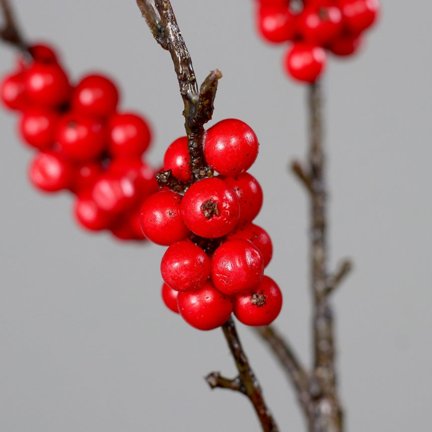 Dirbtinė šaka „Viburnum“ I110 cm