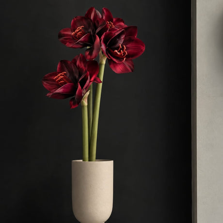 sodoela Dirbtinės gėlės ir šakos Dirbtinė gėlė „Amaryllis“ I65 cm, bordo sp.