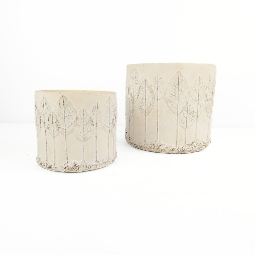 Vazonas, Baltoji giria 13x13x11,5 cm
