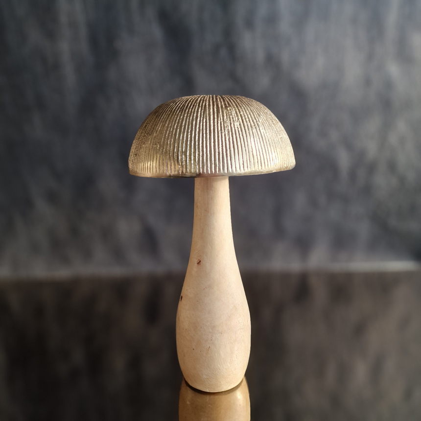 Auksinis grybas mediniu kotu 27x17x17 cm