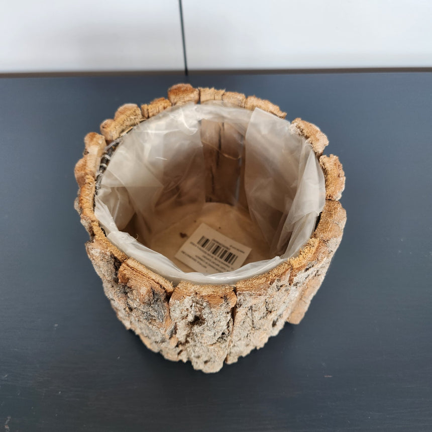 Indas su žieve kelmas rudas 10x10 cm