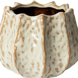 Keramikinis vazonas IVORY 25,5x15 cm