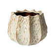 sodoela Vazonai Vazonas „Ivory“ 25,5x15 cm