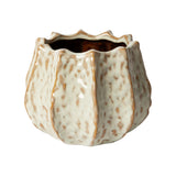Keramikinis vazonas IVORY 25,5x15 cm