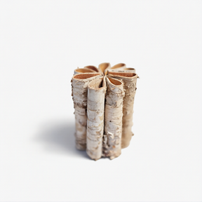 Beržo kelmukas