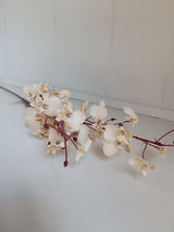 Smulkių orchidėjų šaka-kreminės spalvos