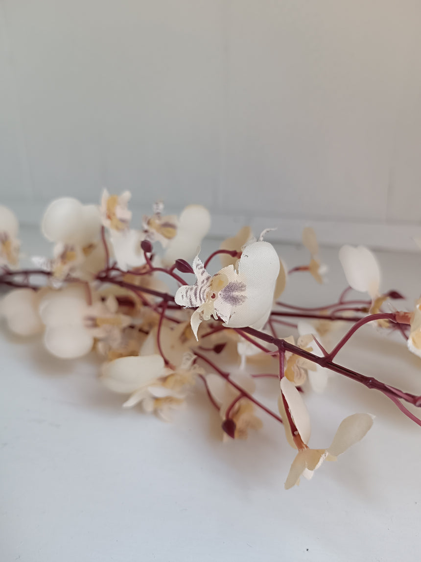 Smulkių orchidėjų šaka-kreminės spalvos