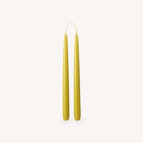 sodoela Žvakės Žvakių rinkinys „Candela Lunga“, garstyčių geltona, A30 cm, 2 vnt.
