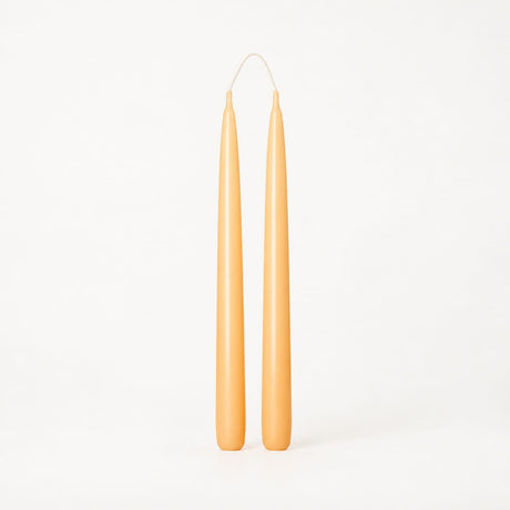 sodoela Žvakės Žvakių rinkinys „Candela Lunga“, šilta vanilė, A30 cm, 2 vnt.