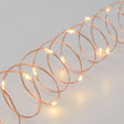 Vielinė LED girlianda 10 m, 200 LED šiltai balta