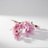 Magnolijos žiedų šaka 56 cm-rausvos spalvos